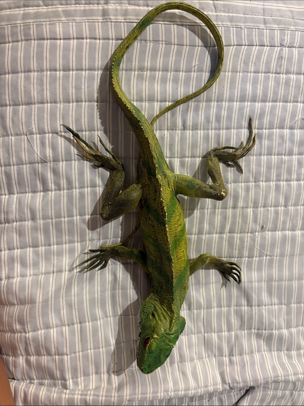 Realistic Iguana